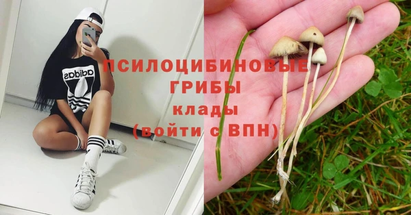 винт Балахна